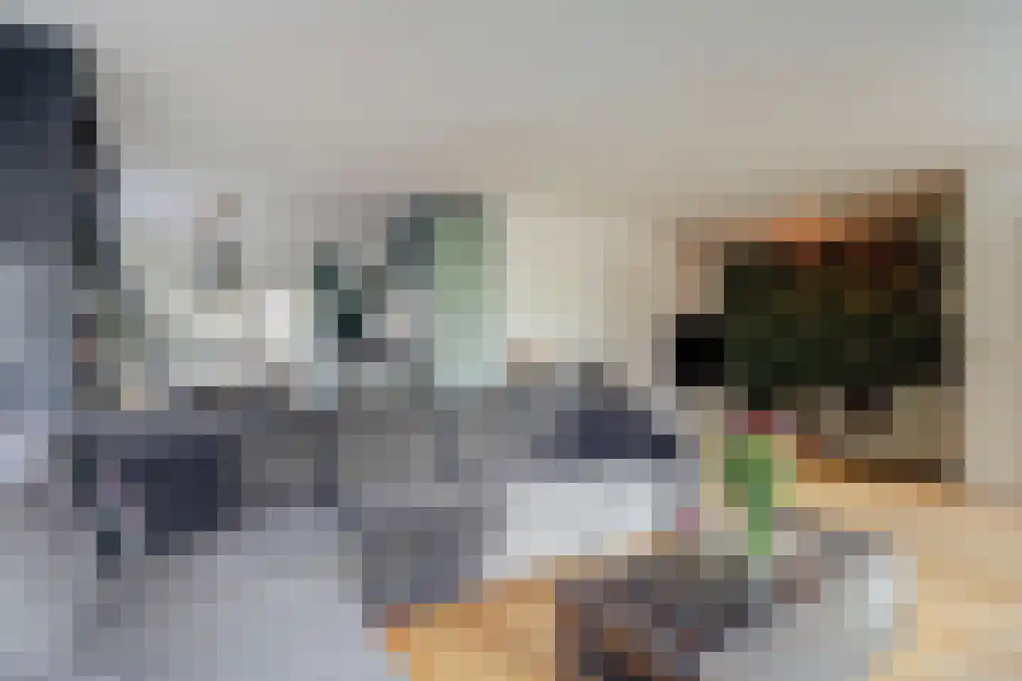 Zwarte Kolkstraat 86 Wilp thumbnail 15