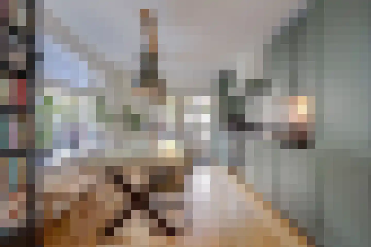Zwarte Kolkstraat 86 Wilp thumbnail 18