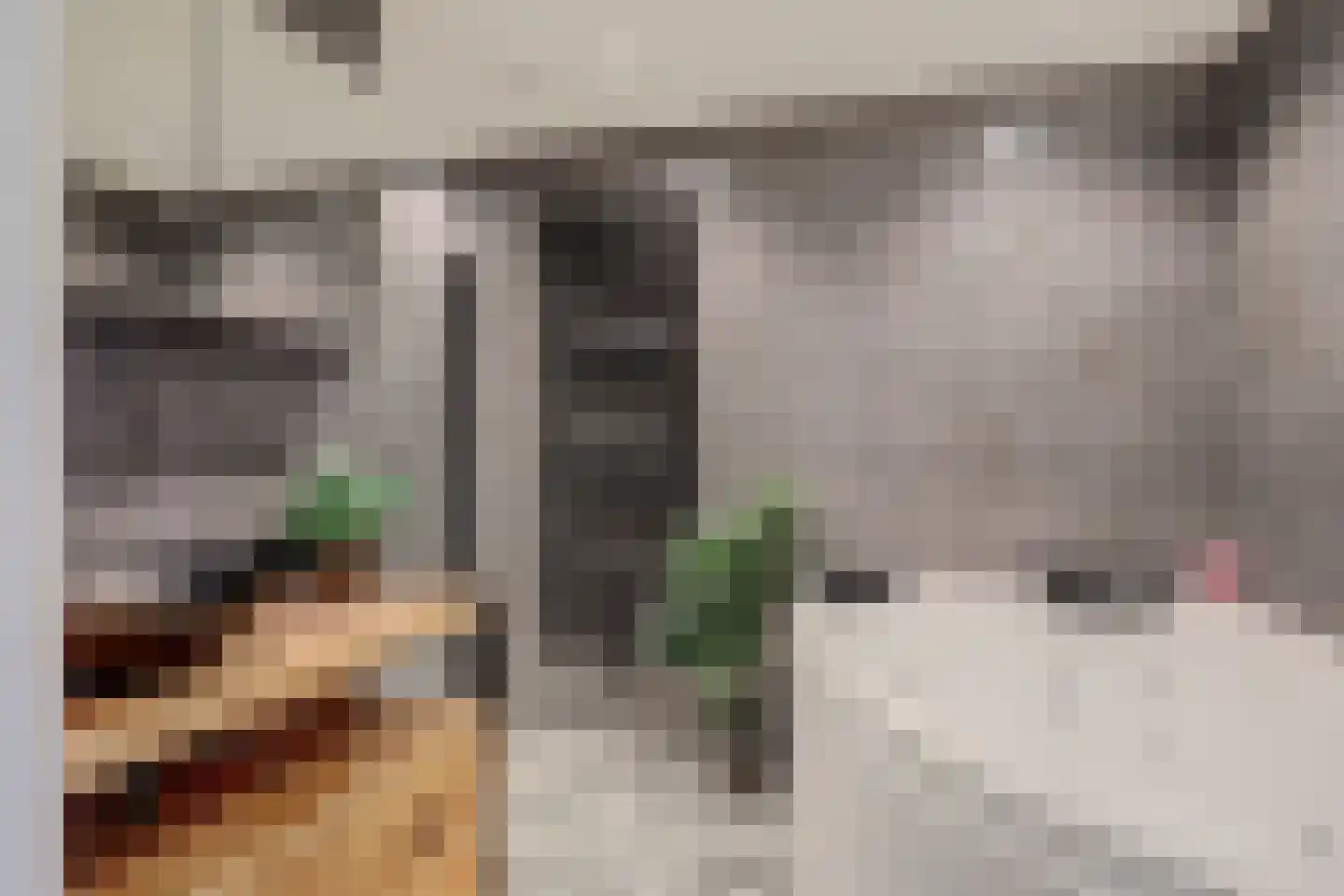 Zwarte Kolkstraat 86 Wilp thumbnail 26