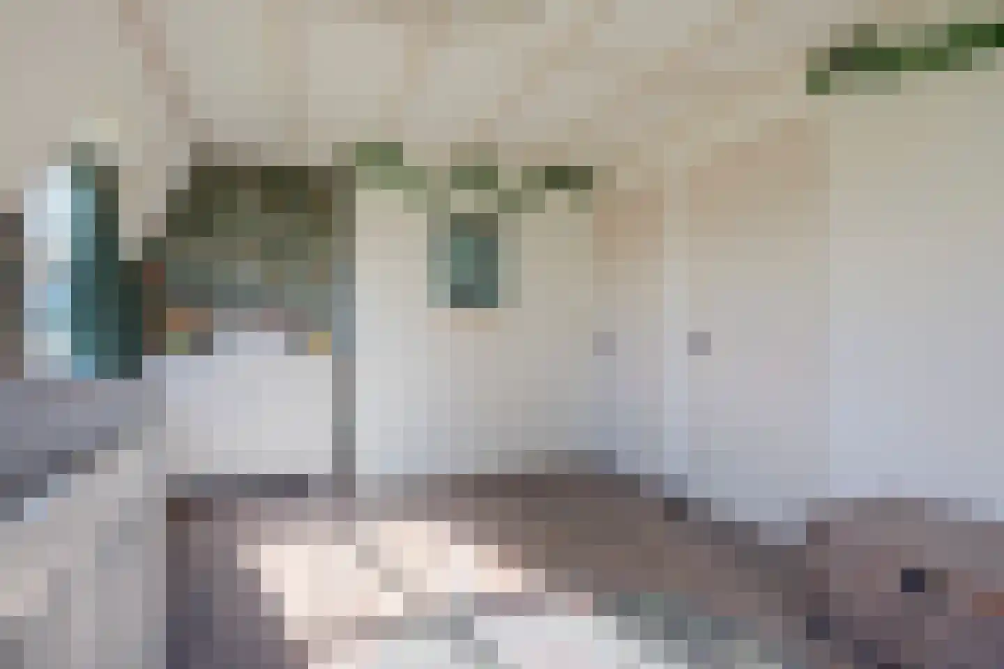 Zwarte Kolkstraat 86 Wilp thumbnail 33