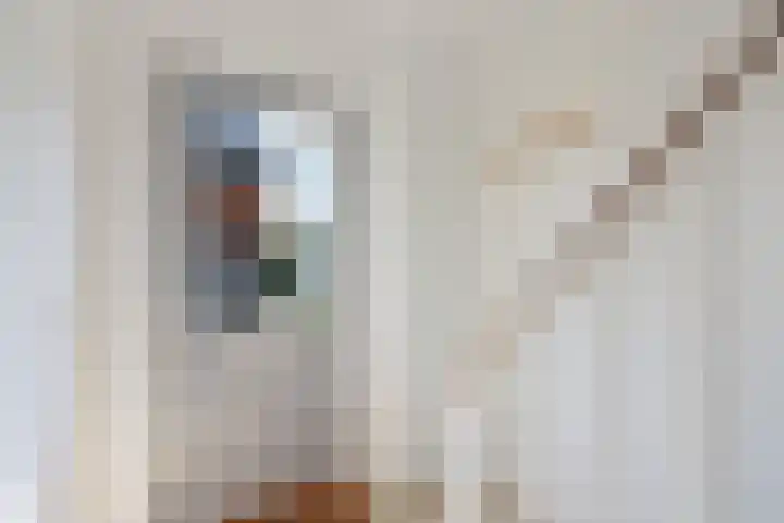 Zwarte Leeuwstraat 8 Wormer thumbnail 11