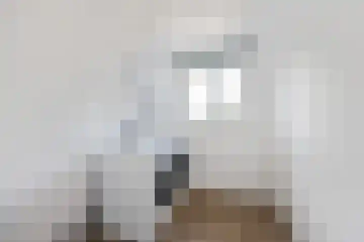 Zwarte Leeuwstraat 8 Wormer thumbnail 21
