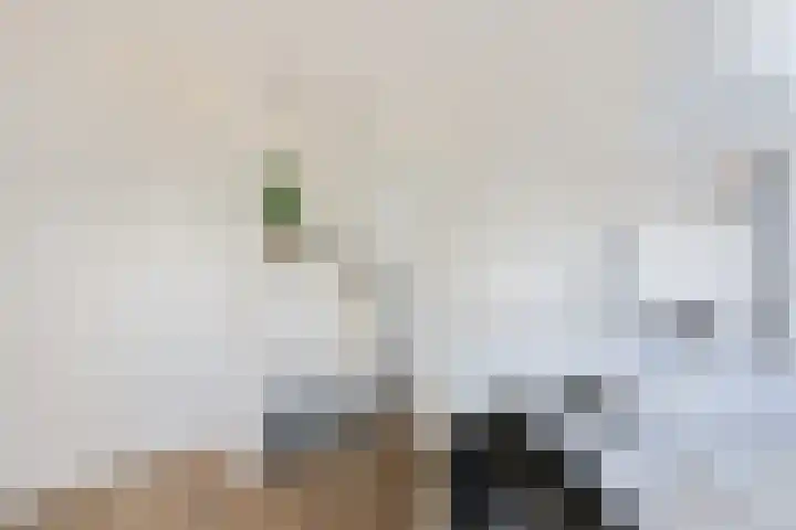 Zwarte Leeuwstraat 8 Wormer thumbnail 22