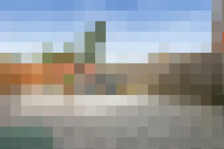 Zwarte Leeuwstraat 8 Wormer thumbnail 23