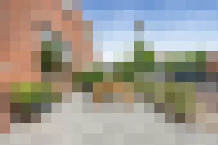 Zwarte Leeuwstraat 8 Wormer thumbnail 25