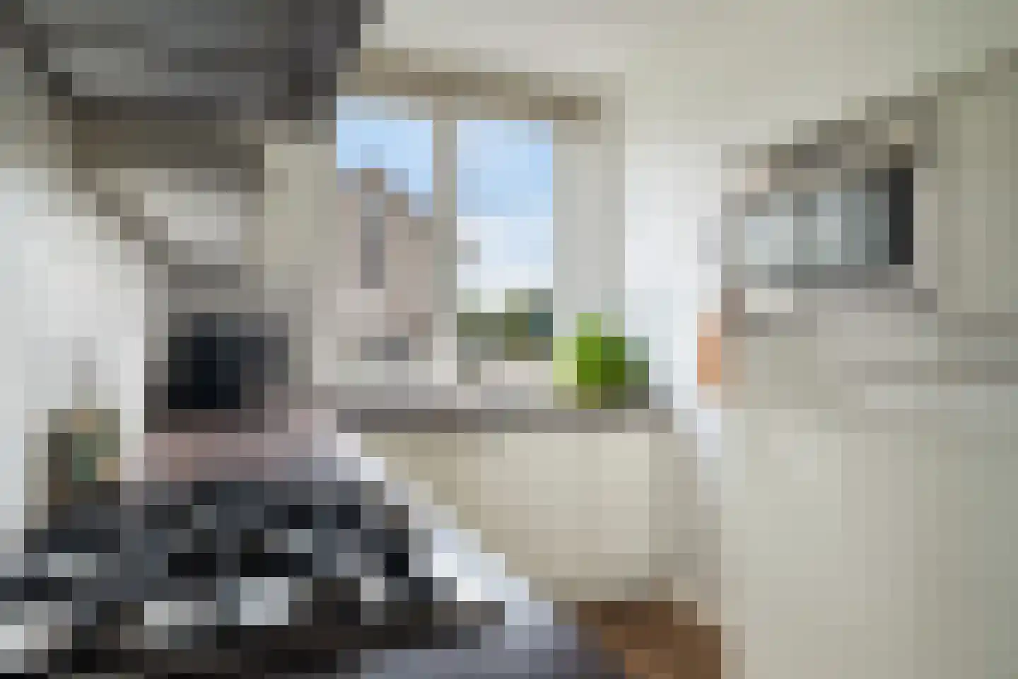 Zwarte Meerstraat 1 Berkel en Rodenrijs thumbnail 11