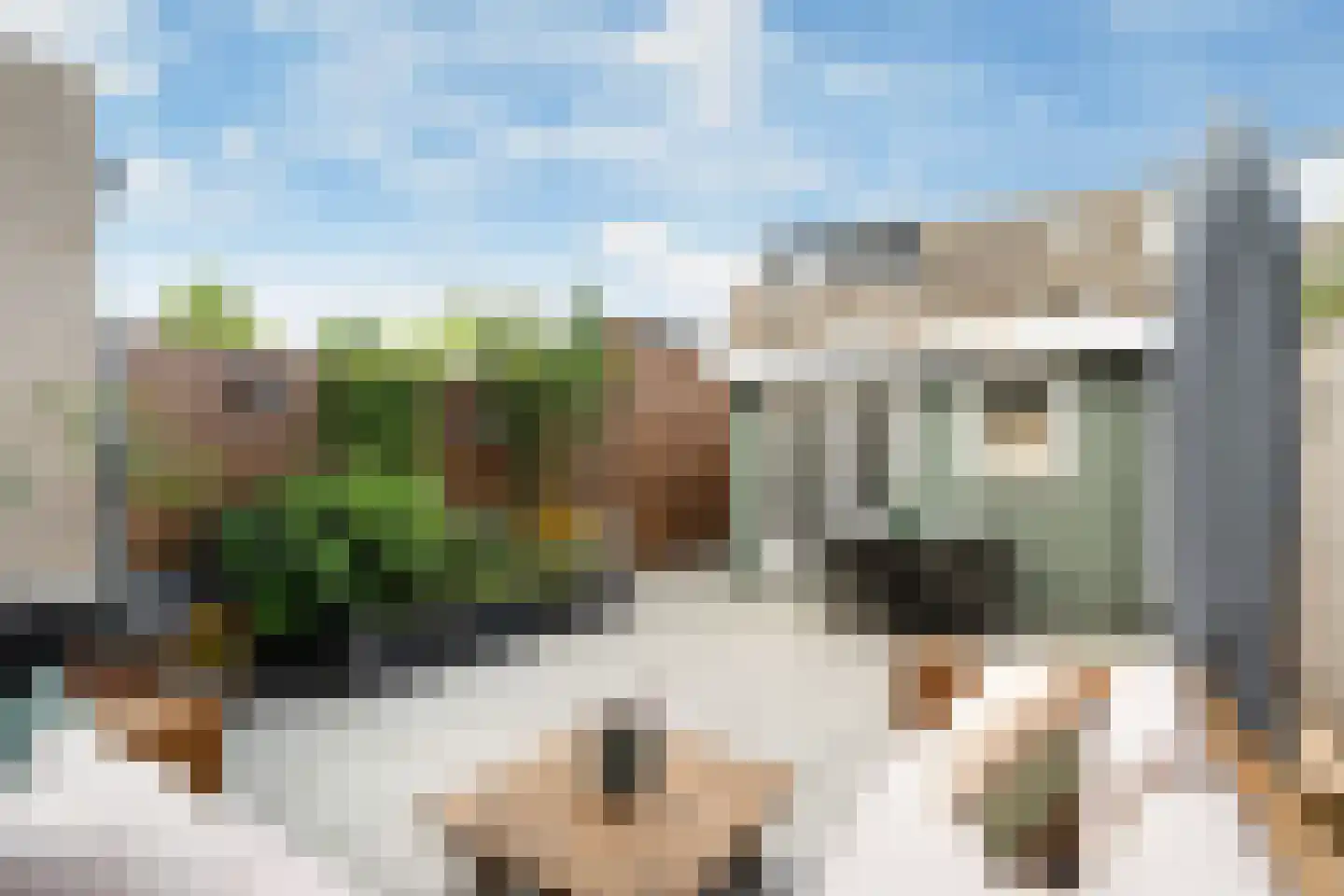 Zwarte Meerstraat 1 Berkel en Rodenrijs thumbnail 15