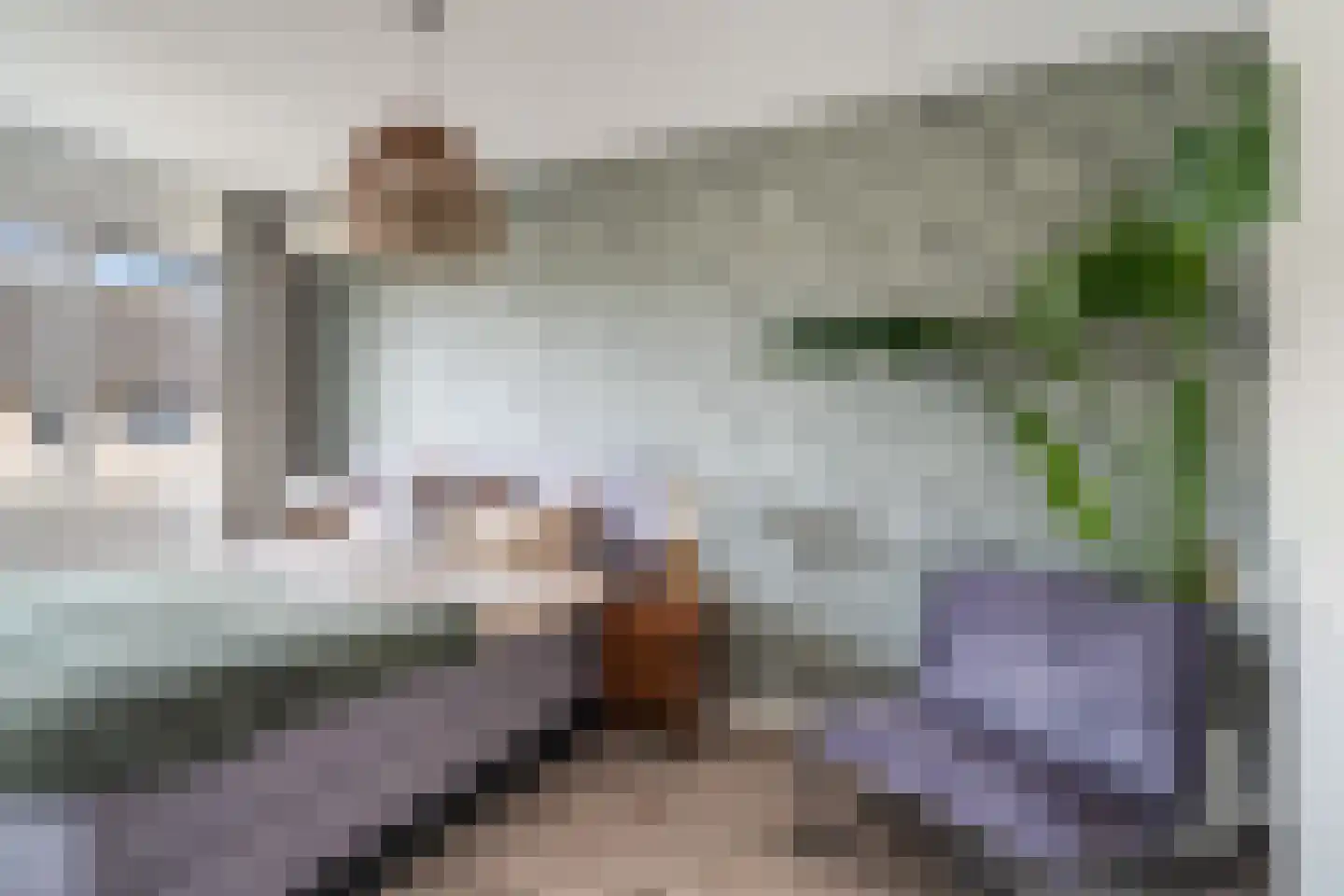 Zwarte Meerstraat 1 Berkel en Rodenrijs thumbnail 17