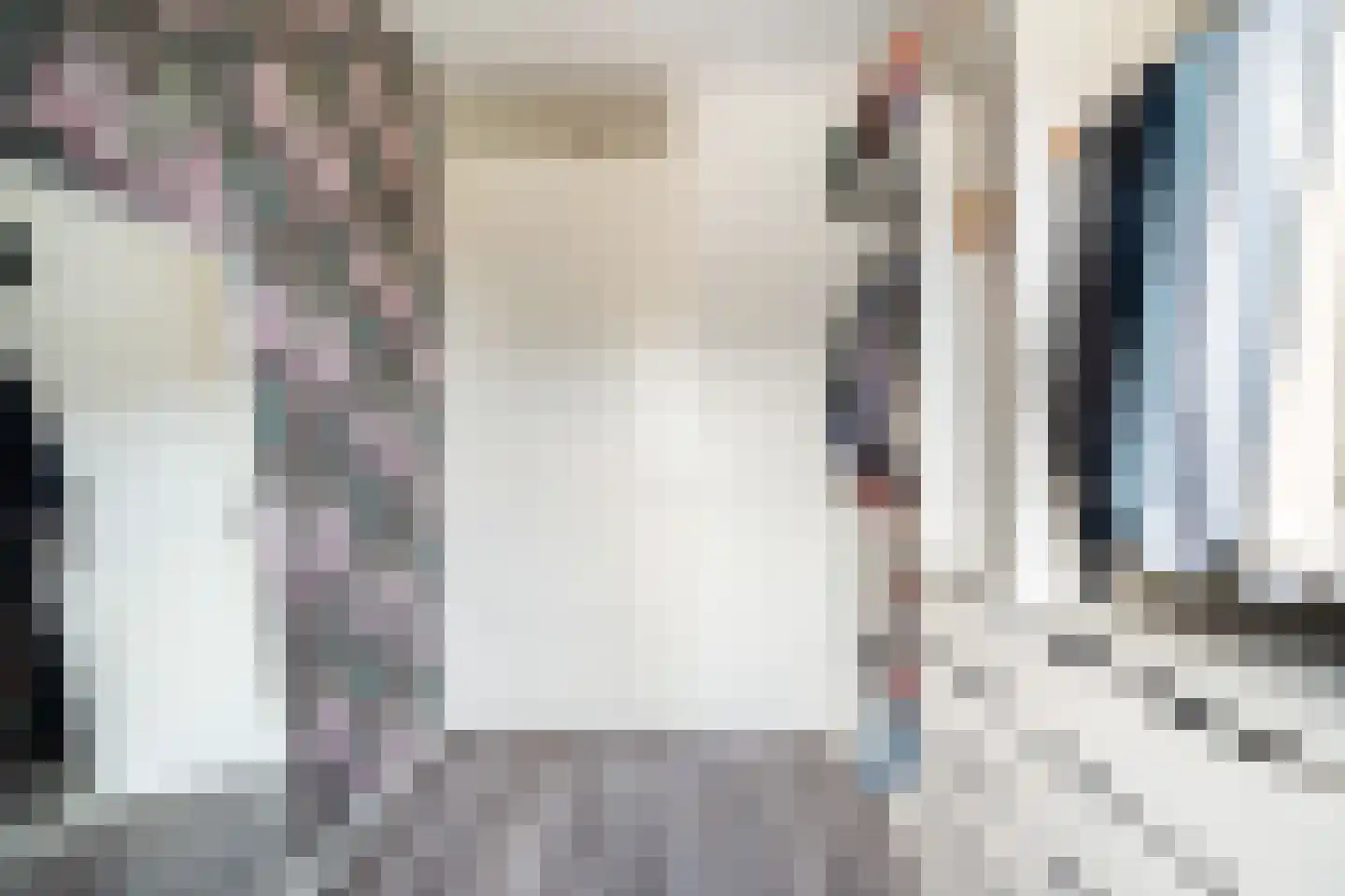 Zwarte Meerstraat 1 Berkel en Rodenrijs thumbnail 21