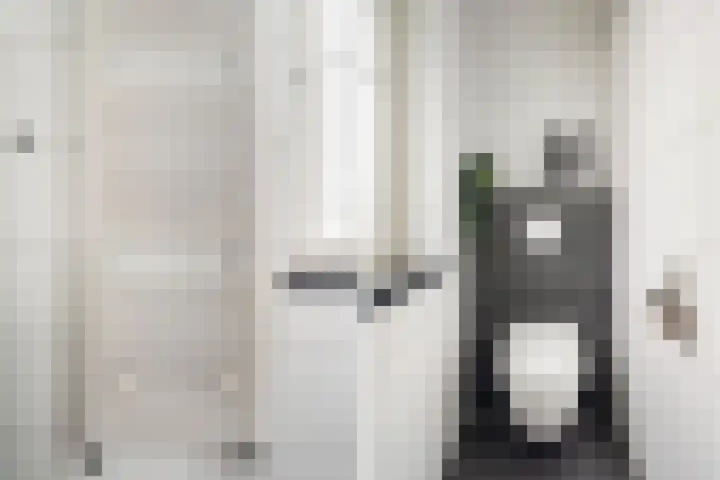 Zwarte Meerstraat 1 Berkel en Rodenrijs thumbnail 23