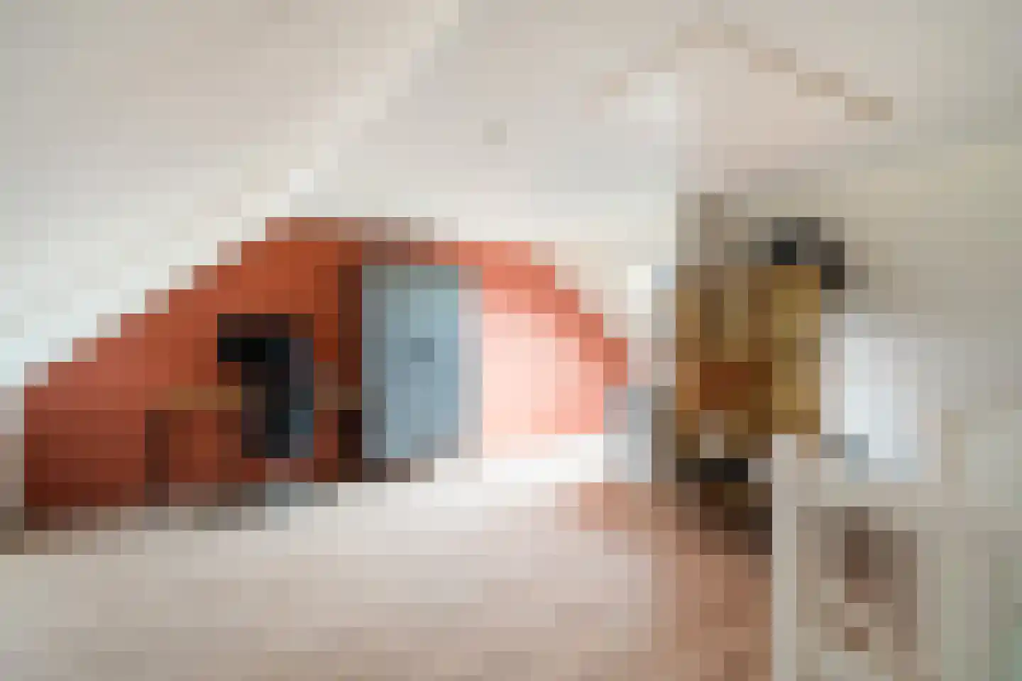 Zwarte Meerstraat 1 Berkel en Rodenrijs thumbnail 24