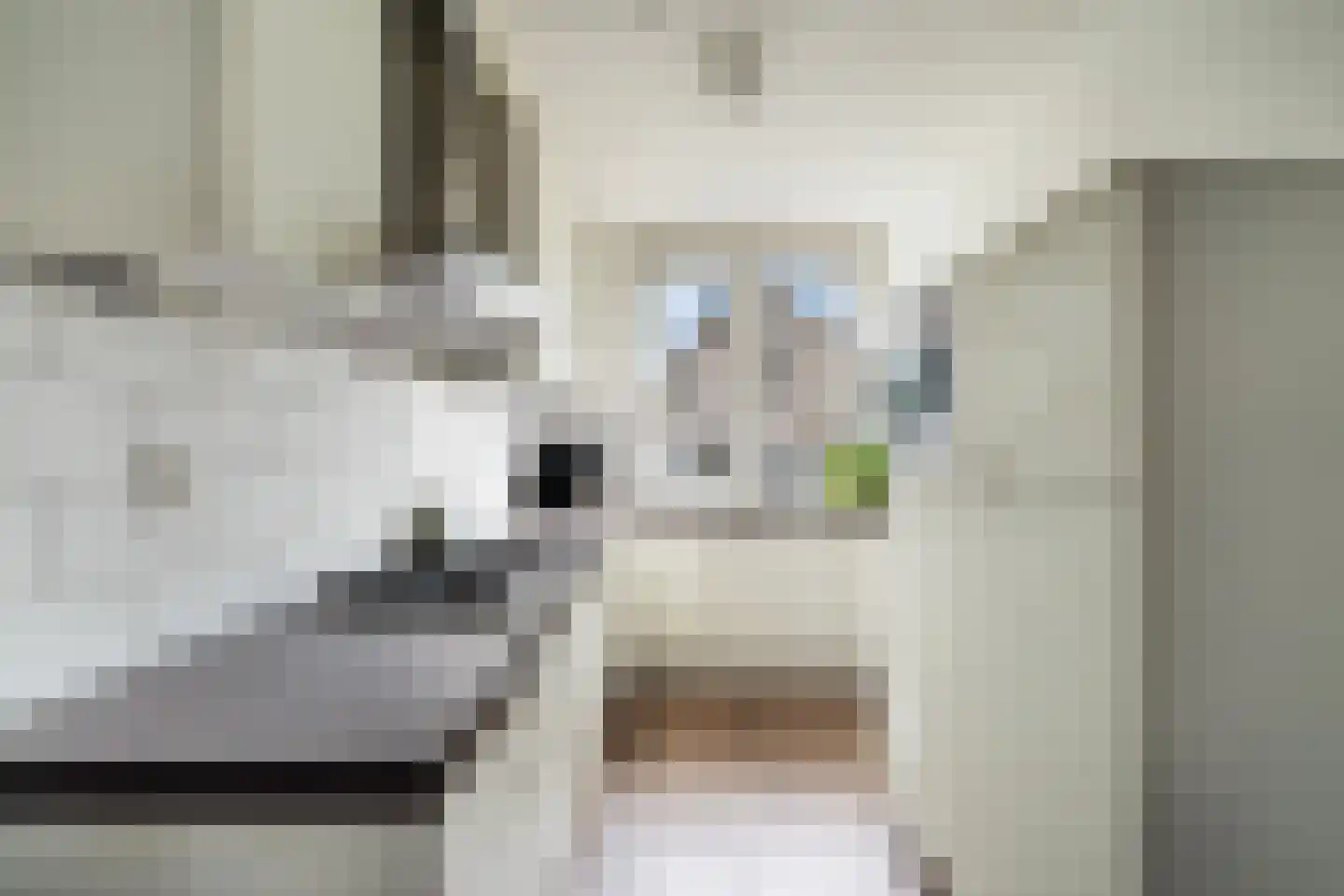 Zwarte Meerstraat 1 Berkel en Rodenrijs thumbnail 4