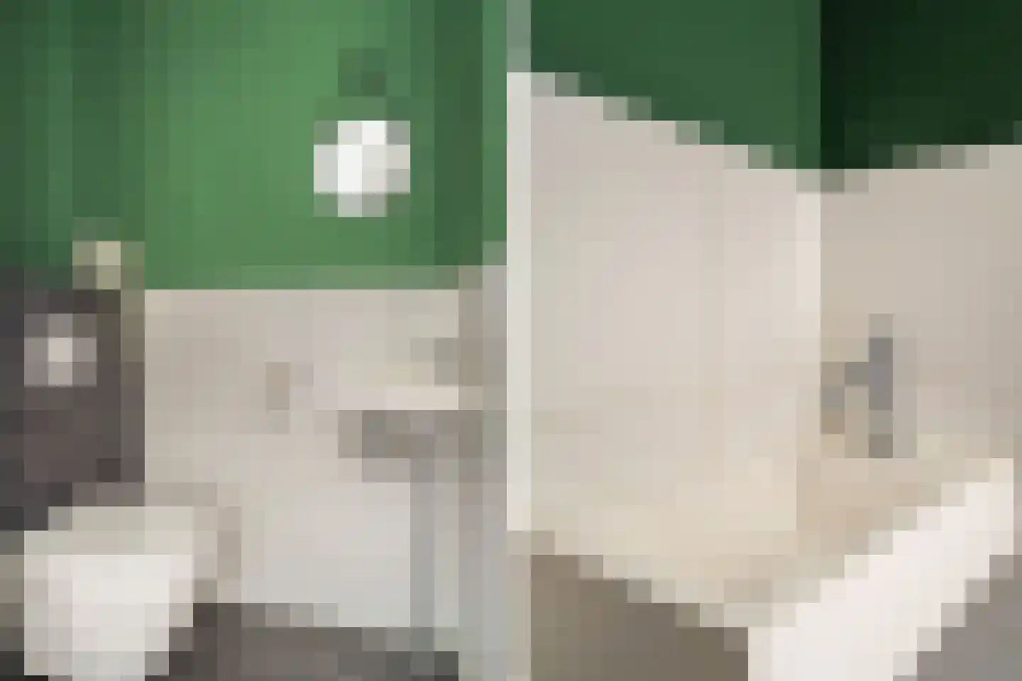 Zwarte Meerstraat 1 Berkel en Rodenrijs thumbnail 8