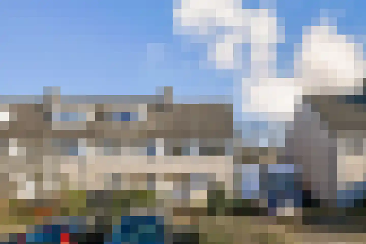 Zwarte mees 10 Uithoorn