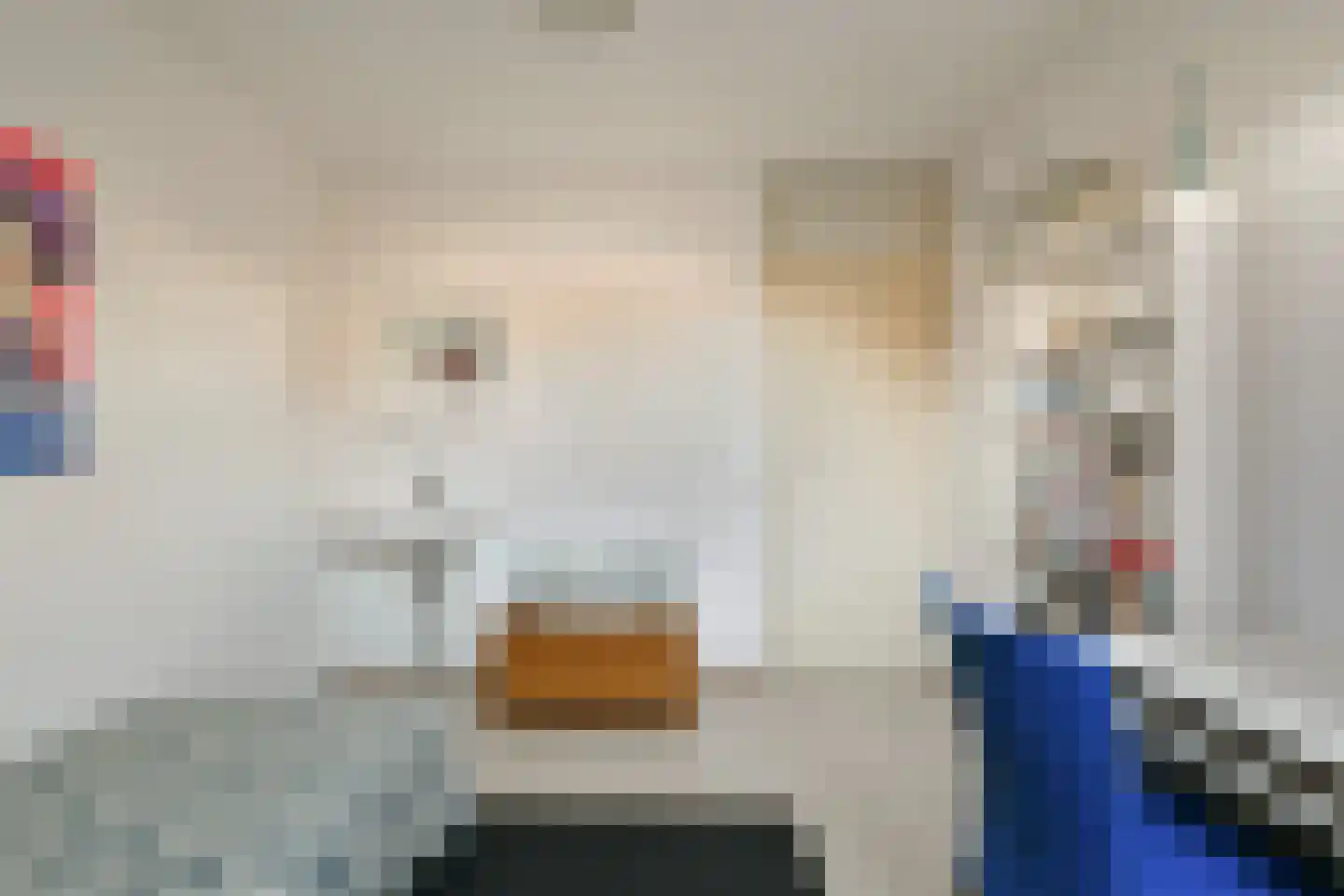 Zwarte mees 10 Uithoorn thumbnail 16