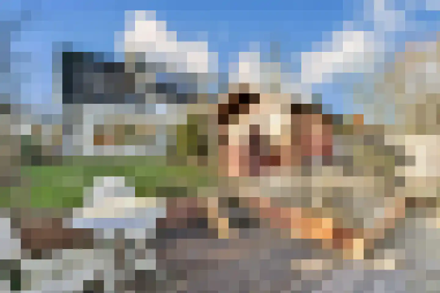 Zwarte mees 10 Uithoorn thumbnail 21