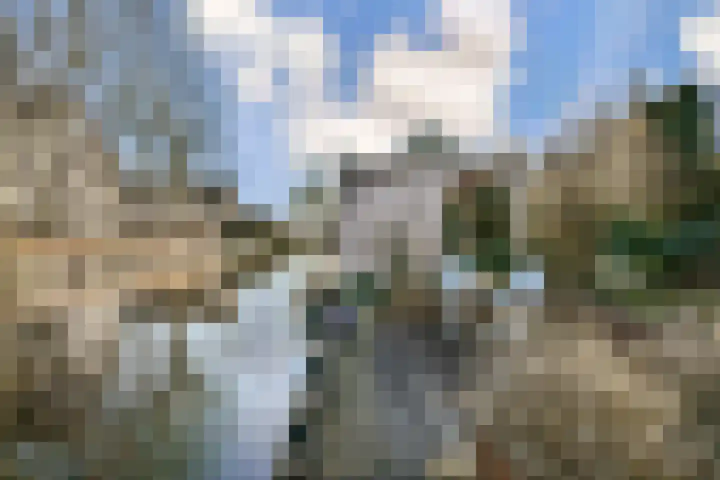 Zwarte mees 10 Uithoorn thumbnail 23