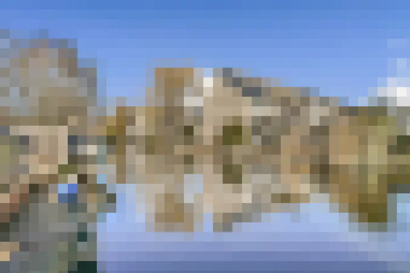 Zwarte mees 10 Uithoorn thumbnail 24