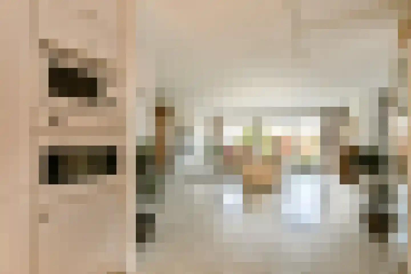 Zwarte mees 10 Uithoorn thumbnail 5