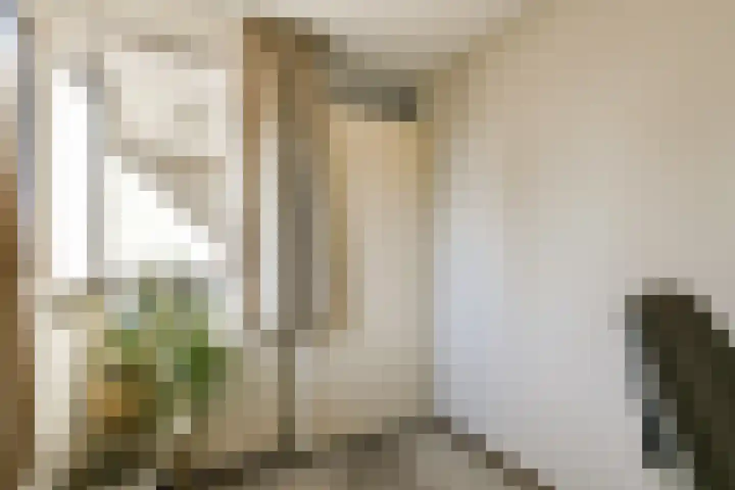 Zwarte mees 10 Uithoorn thumbnail 9