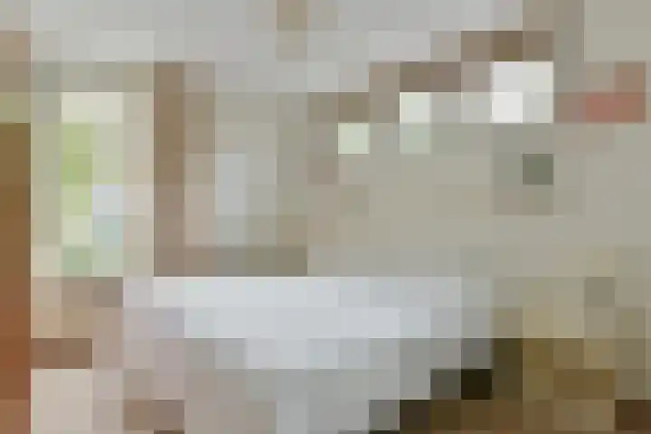 Zwarte mees 15 Uithoorn thumbnail 12