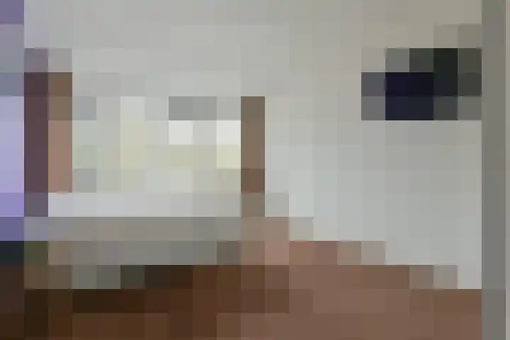 Zwarte mees 15 Uithoorn thumbnail 17