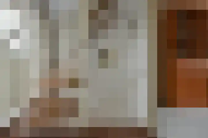 Zwarte mees 15 Uithoorn thumbnail 21