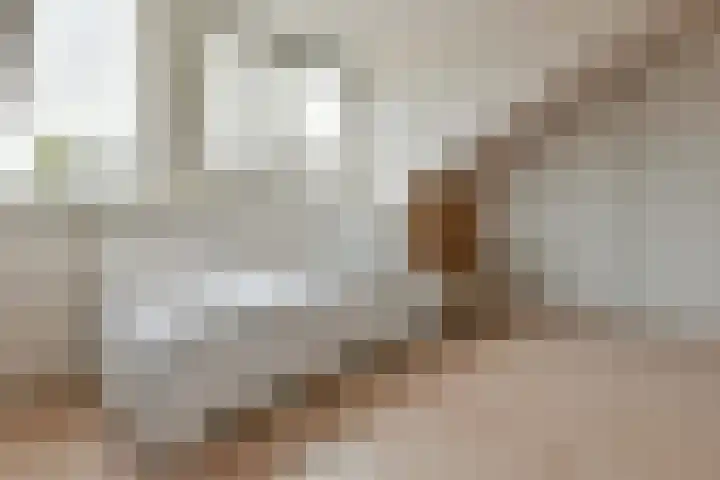 Zwarte mees 15 Uithoorn thumbnail 22