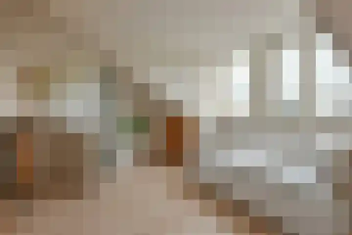 Zwarte mees 15 Uithoorn thumbnail 23