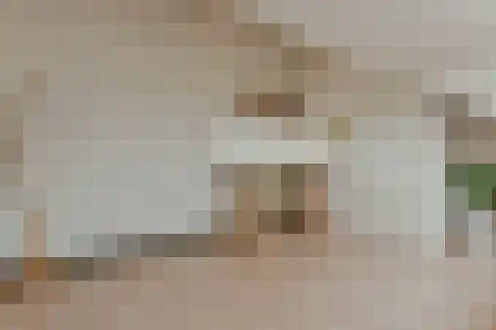 Zwarte mees 15 Uithoorn thumbnail 24