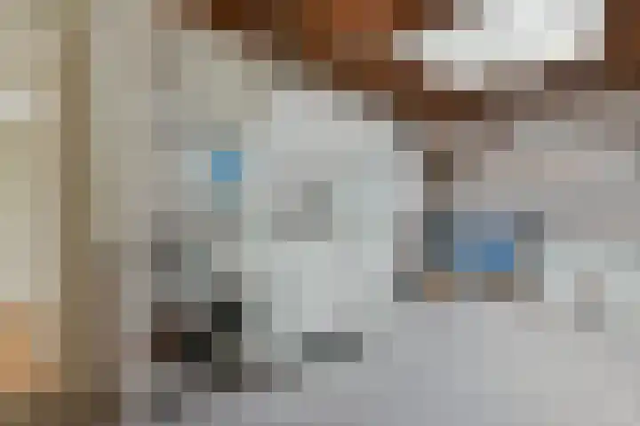 Zwarte mees 15 Uithoorn thumbnail 25