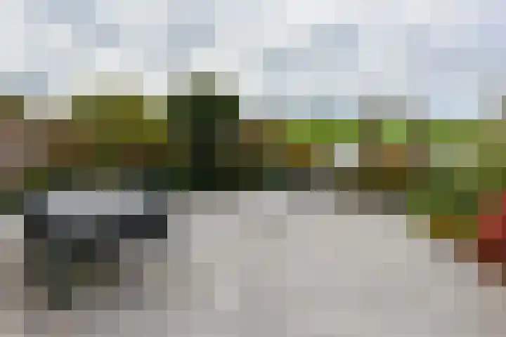 Zwarte mees 15 Uithoorn thumbnail 27