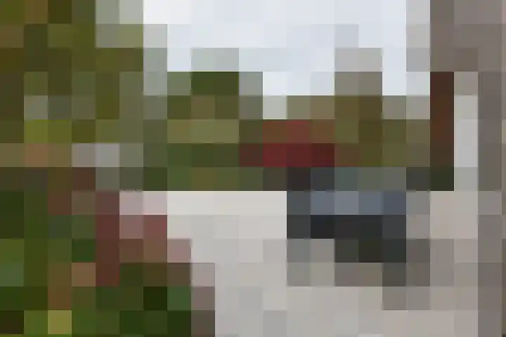 Zwarte mees 15 Uithoorn thumbnail 28