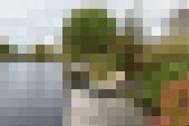Zwarte mees 15 Uithoorn thumbnail 30