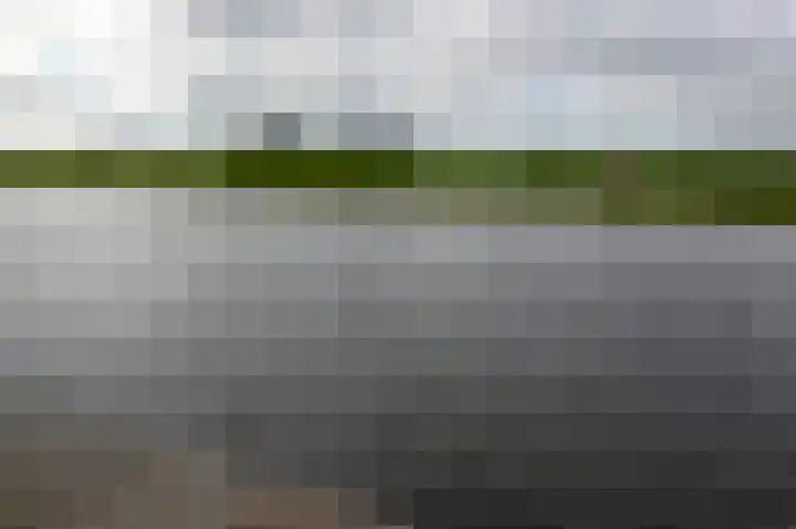 Zwarte mees 15 Uithoorn thumbnail 31