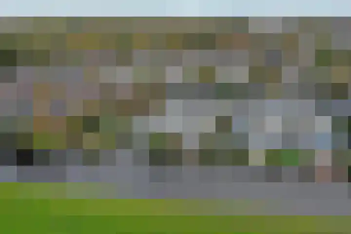 Zwarte mees 15 Uithoorn thumbnail 33