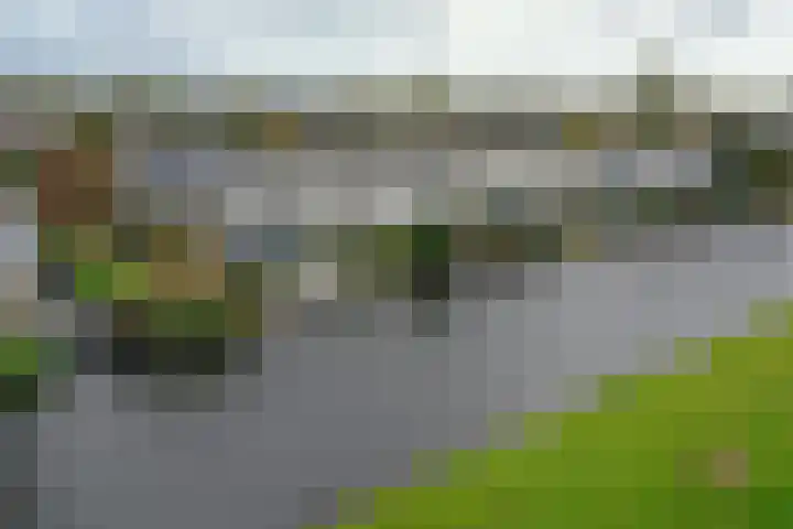 Zwarte mees 15 Uithoorn thumbnail 34