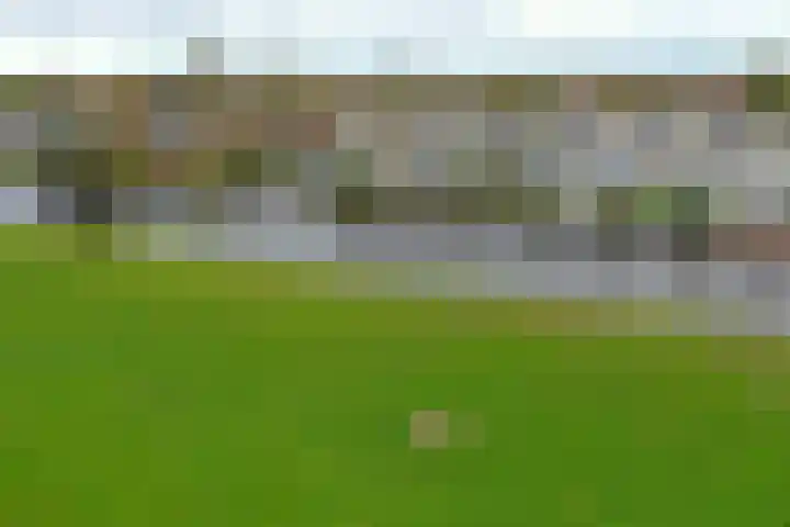Zwarte mees 15 Uithoorn thumbnail 35