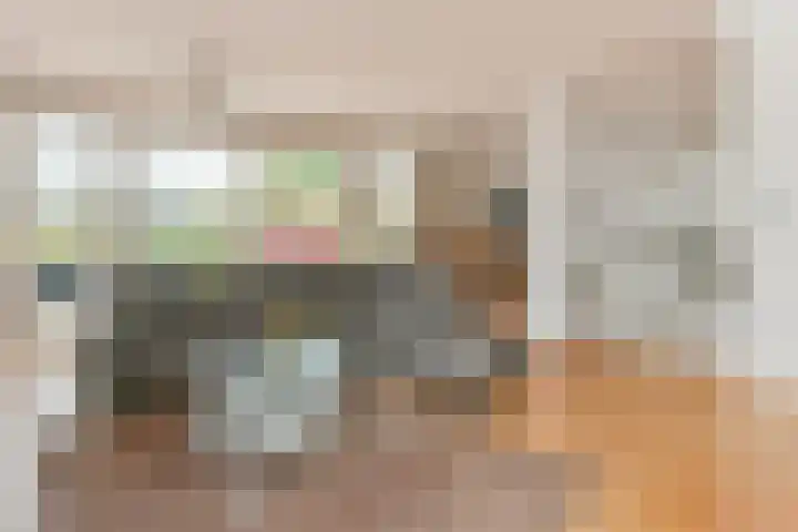 Zwarte mees 15 Uithoorn thumbnail 4
