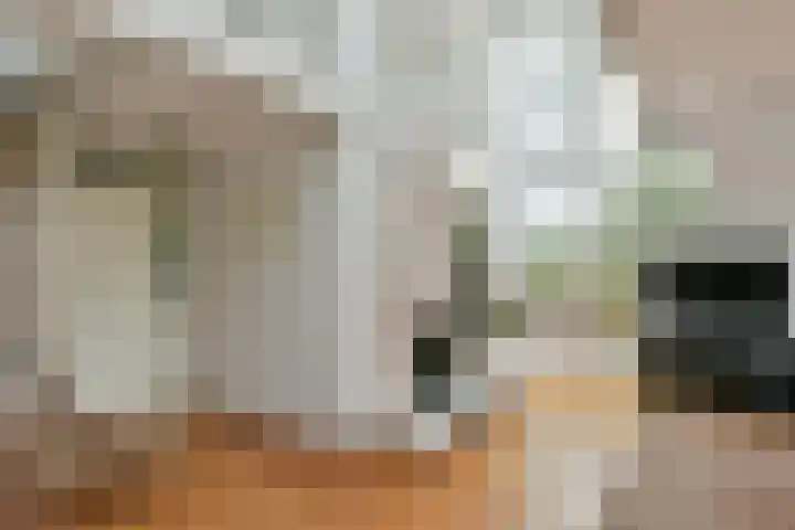 Zwarte mees 15 Uithoorn thumbnail 5