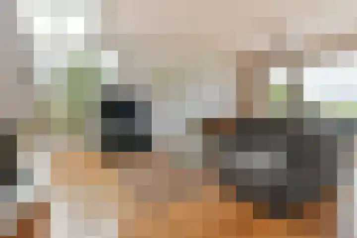 Zwarte mees 15 Uithoorn thumbnail 6