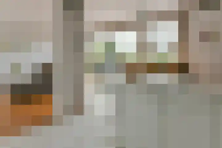 Zwarte mees 15 Uithoorn thumbnail 7
