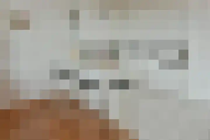Zwarte mees 15 Uithoorn thumbnail 8
