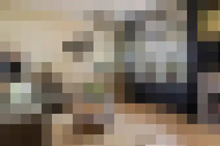 Zwarte Paard 6 Ingen thumbnail 10