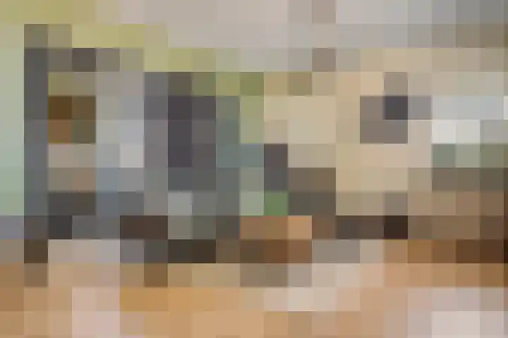Zwarte Paard 6 Ingen thumbnail 11