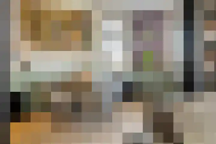 Zwarte Paard 6 Ingen thumbnail 16