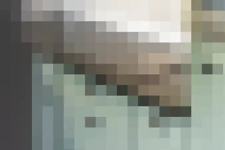 Zwarte Paard 6 Ingen thumbnail 19
