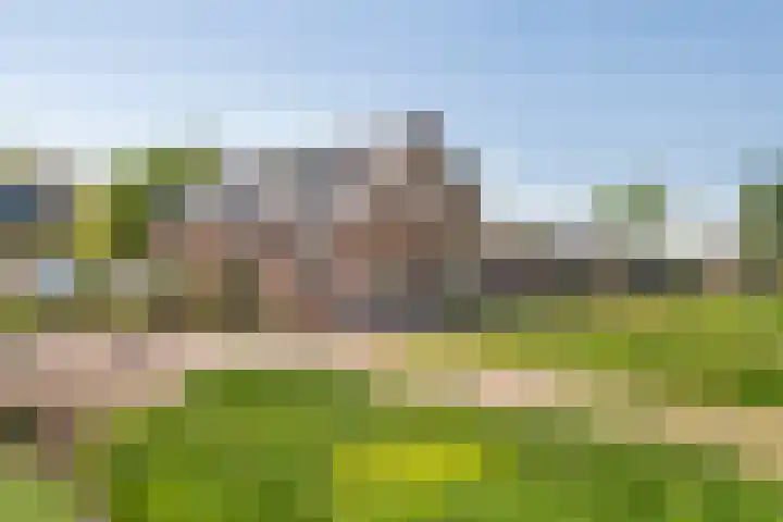Zwarte Paard 6 Ingen foto 2