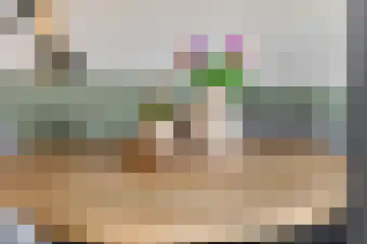 Zwarte Paard 6 Ingen thumbnail 21