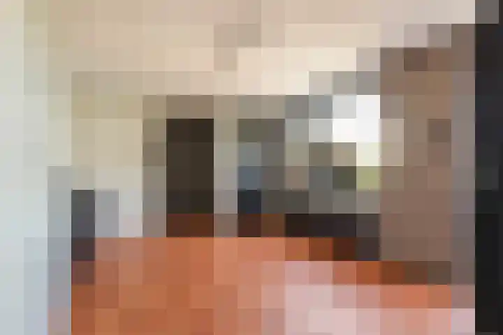Zwarte Paard 6 Ingen thumbnail 24